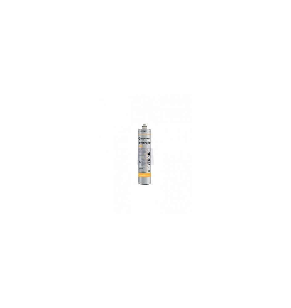 Filtro a baionetta Pentair Everpure 4C